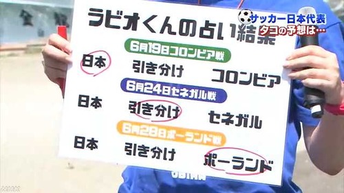 【悲報】ポーランド国内、「もう完全になかったことになってしまっている」とW杯の話題は出なくなっている