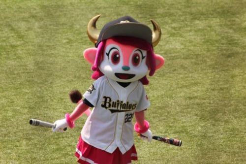 buffalobelltaso