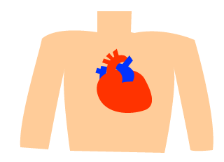 sinzo6