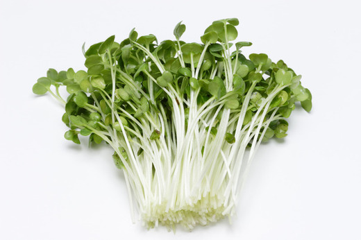 size_605_fd400045