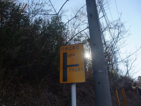 DSCF7809