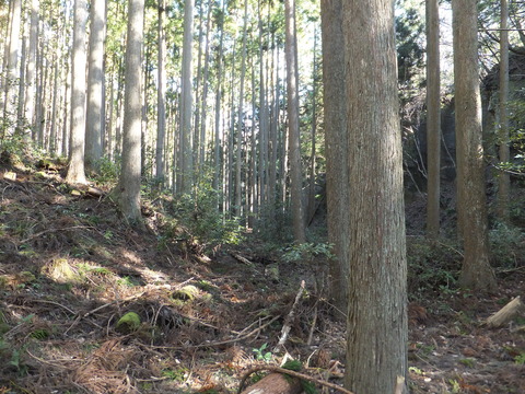 DSCF7658