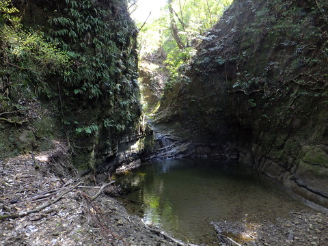 DSCF4573