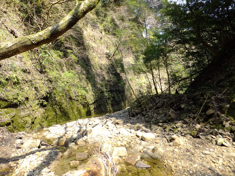 DSCF4594