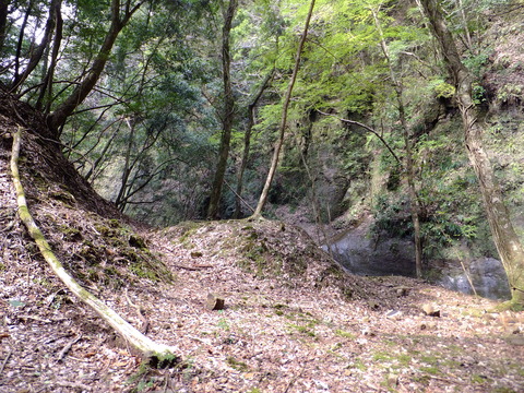 DSCF4609