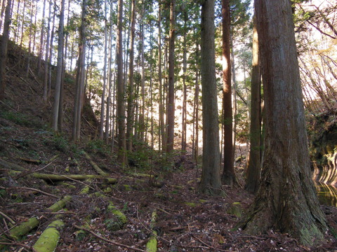DSCN2863