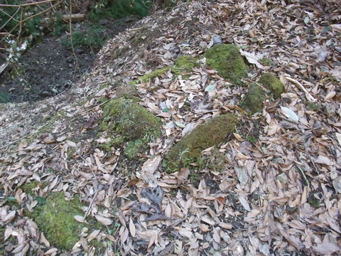 DSCF7847
