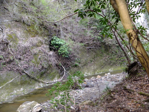 DSCF4704
