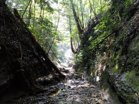 DSCF4586