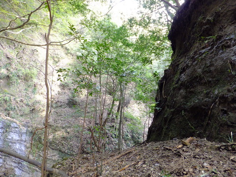 DSCF4616