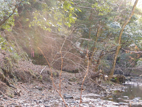 DSCN2959