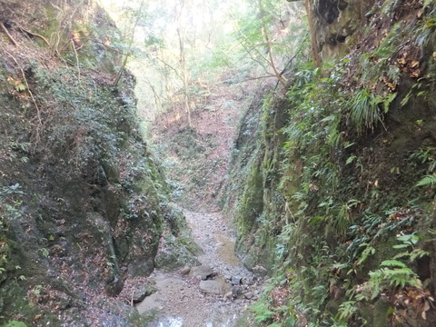 Nd (17)