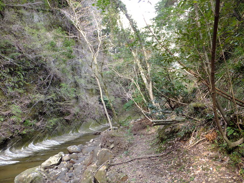 DSCF4683