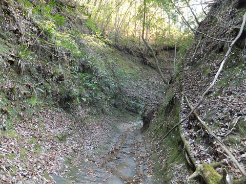 DSCF7759