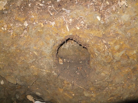 Nd (7)
