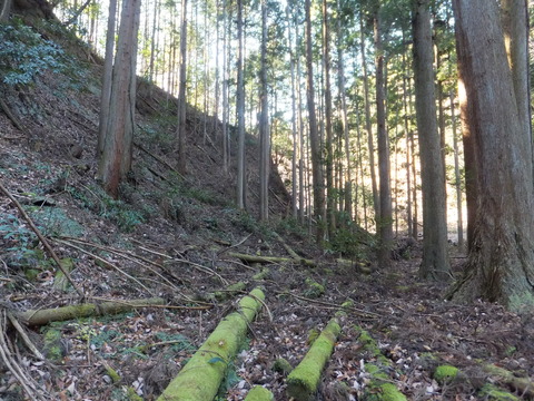 DSCF7652