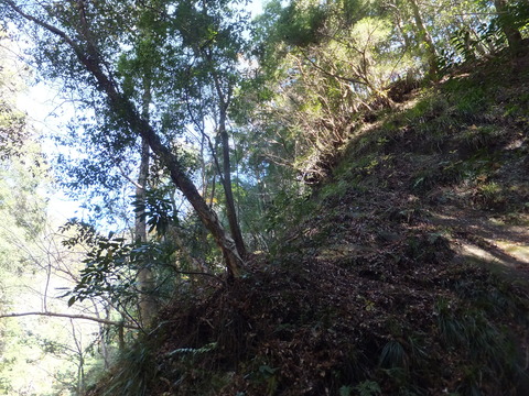 DSCF7671