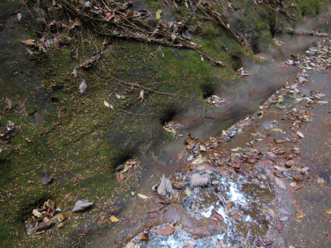 DSCN3179