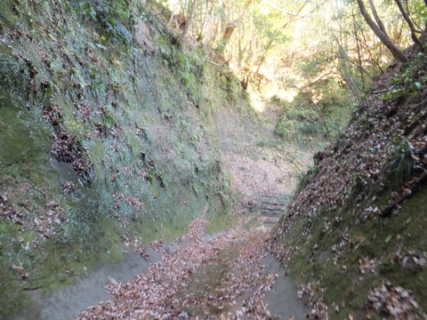 DSCF7750