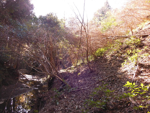 DSCN2882