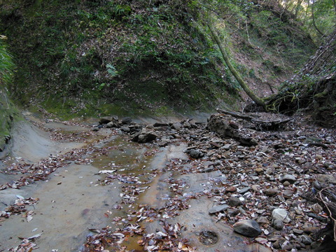 DSCN3171