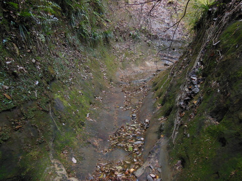 DSCN3178