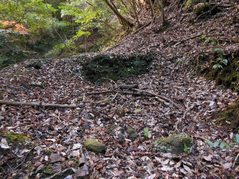 DSCN3187