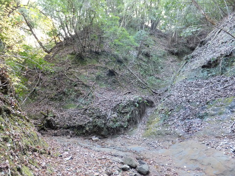 DSCF7760