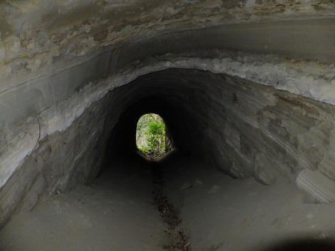 DSCF4694