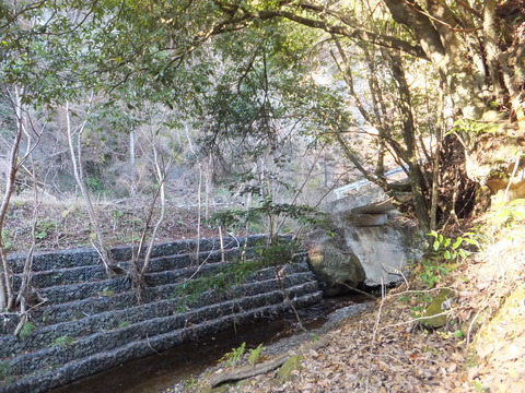 DSCF7644