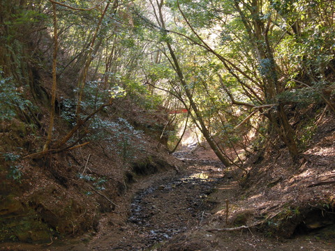 DSCN2909