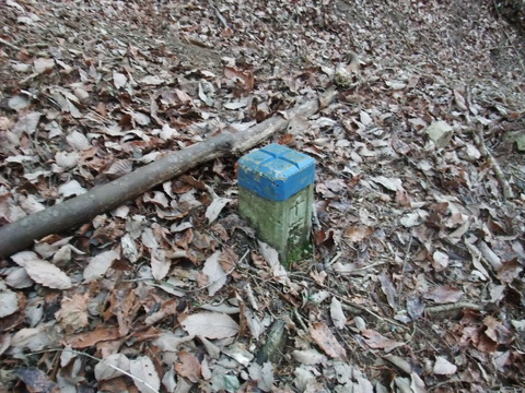 DSCF7980