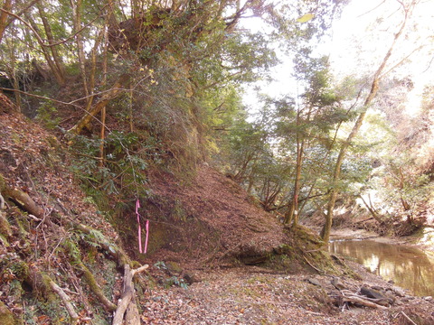 DSCN2962
