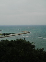 de43eba8.jpg