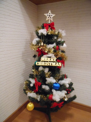 DSCN0073