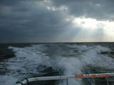 ³¤
