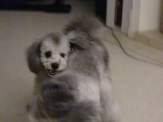 20110714 021