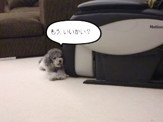 BlogPaint