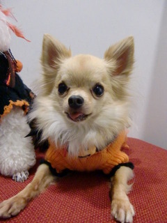 20111031 006