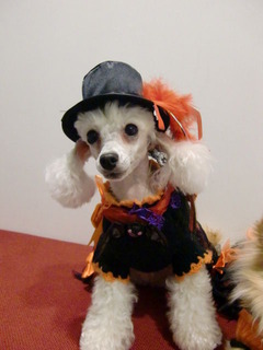 20111031 005
