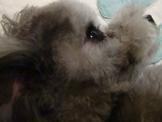 20110605 012