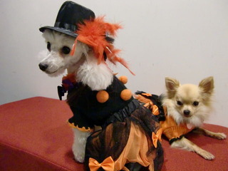 20111031 007
