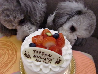 20110714 060