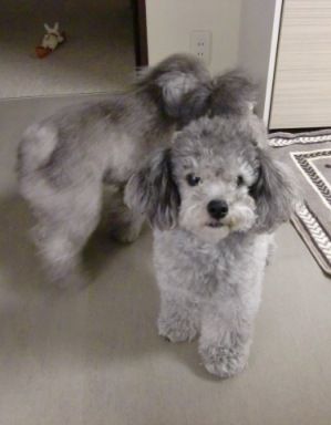 20110530 002