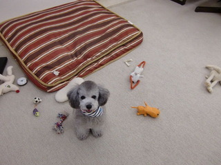 20110614 001