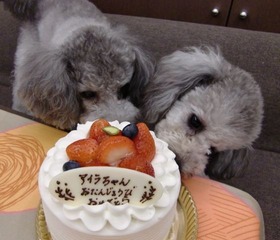 20110714 059