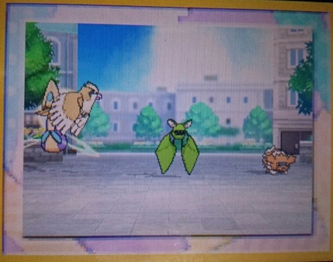 群れバトルで色違い 徒然 もえ日和