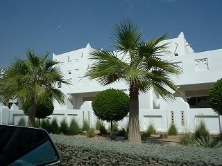 DSCN5776