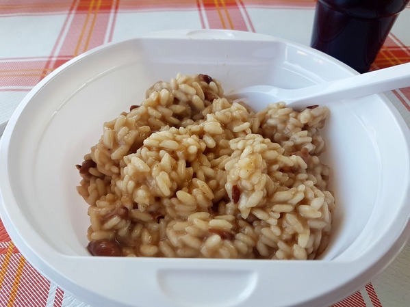 risi4