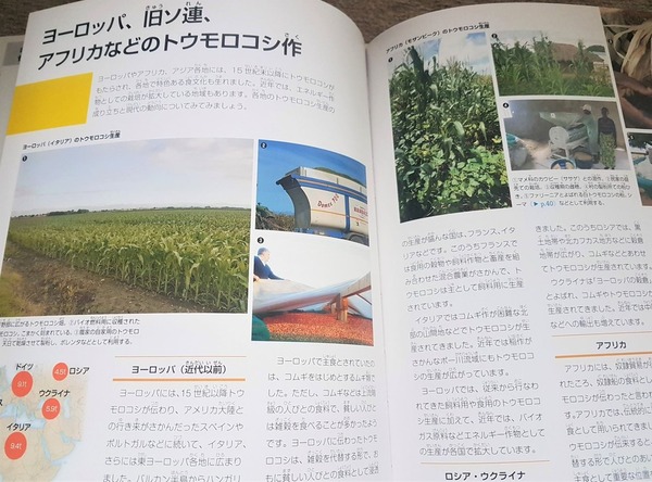 トウモロコシの大百科2